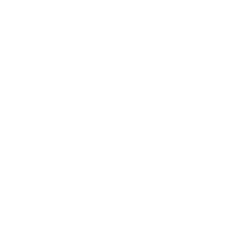 SICHERHEITSDIENST SOLOTHURN